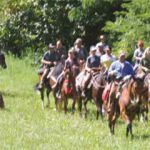 Az. Agr. AleULe Farm